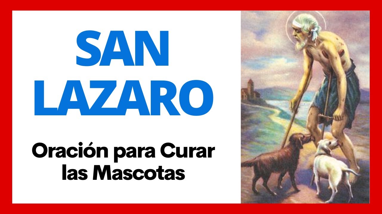Oración a San Lázaro para mi gato enfermo: guía para pedir sanación 1 oracion a san lazaro para mi gato enfermo