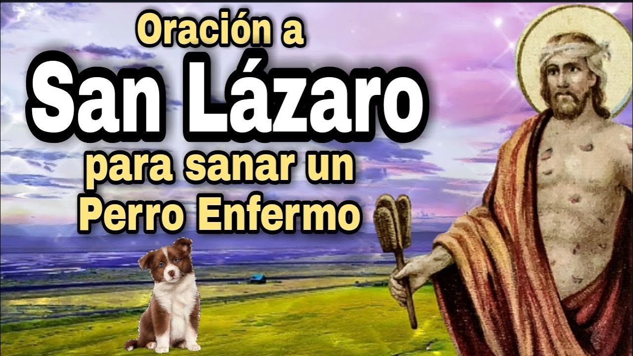 Oración a San Lázaro para mi perro enfermo: guía completa para pedir sanación, protección y esperanza 1 oracion a san lazaro para mi perro enfermo