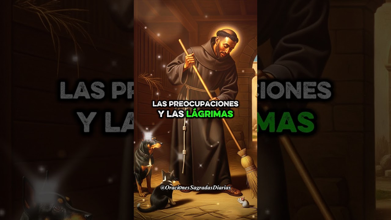 Oración a San Martín de Porres - Catholic.net: Oración poderosa y milagrosa 1 oracion a san martin de porres catholic.net