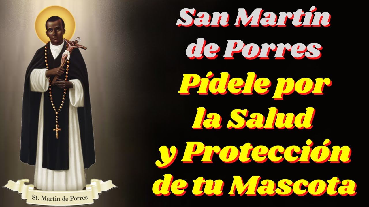 oracion a san martin de porres por los animales