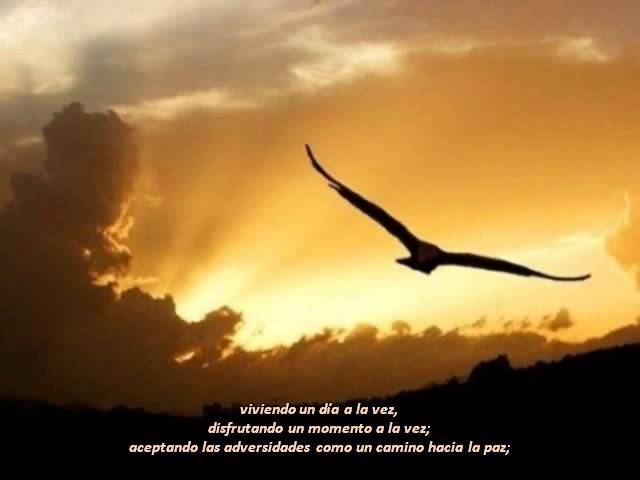 oración de la serenidad reinhold niebuhr