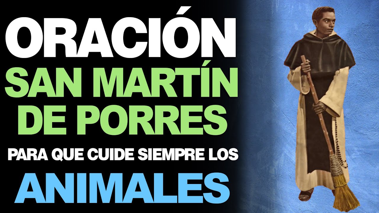 Oración de San Martín de Porres para los animales perdidos: cómo pedir protección y encontrar a tu mascota 1 oración de san martín de porres para los animales perdidos