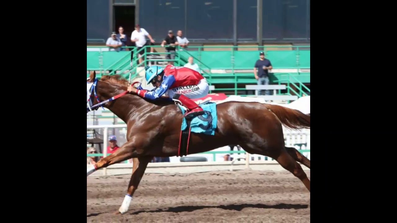 Oración para ganar carreras de caballos: guía práctica, fe y estrategias 2 oración para ganar carreras de caballos