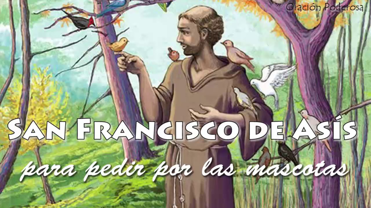 Oración por los animales enfermos San Francisco de Asís: una plegaria de consuelo y esperanza 5 oración por los animales enfermos san francisco de asís