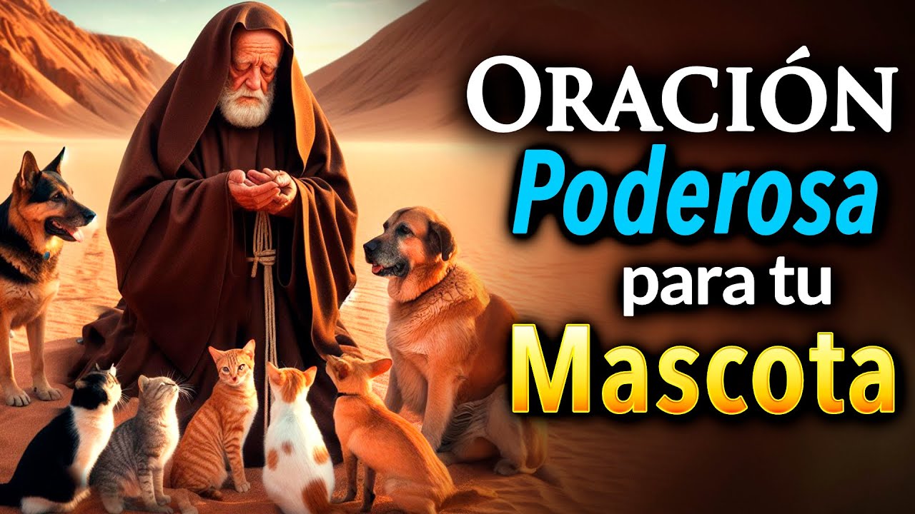 Oración San Antonio: Santo de los Animales, Oración Poderosa para Protección y Bienestar 4 oracion san antonio santo de los animales