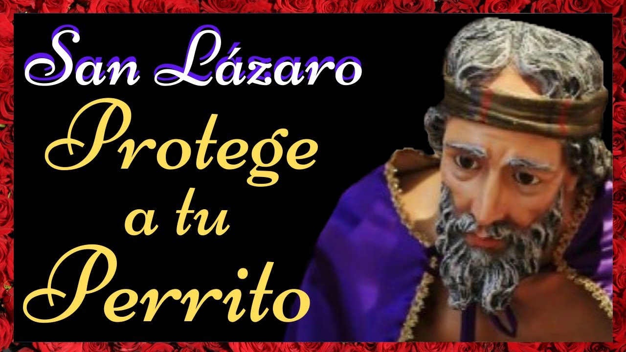 Oración a San Lázaro para Curar Animales: Guía y Oración Poderosa 4 oracion san lazaro para curar animales