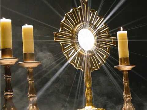 Ven a mi jesus mio: guía de oración, devoción y acercamiento a Jesús 5 ven a mi jesus mio